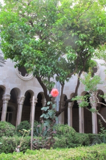 t_pic2 1402.jpg